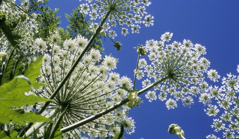 Brøndtømning en GeoNote<span class='r-sign'>®</span> løsning | IT34